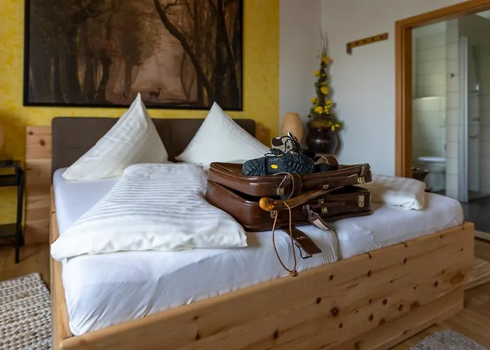 Haring Проживание в семье *