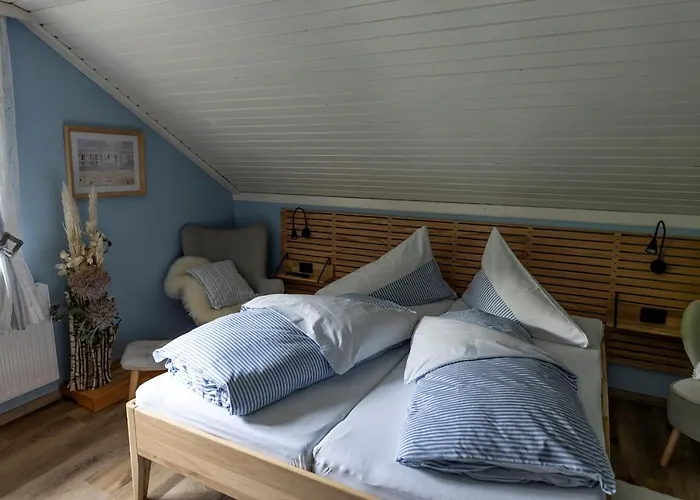 Haring Проживание в семье *