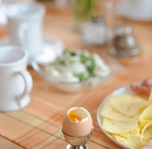 Проживание в семье Haring