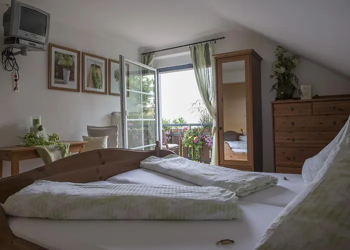 Haring Проживание в семье Китцекк-им-Заузаль